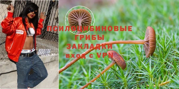 марихуана Аркадак