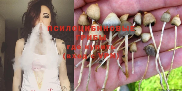 spice Армянск