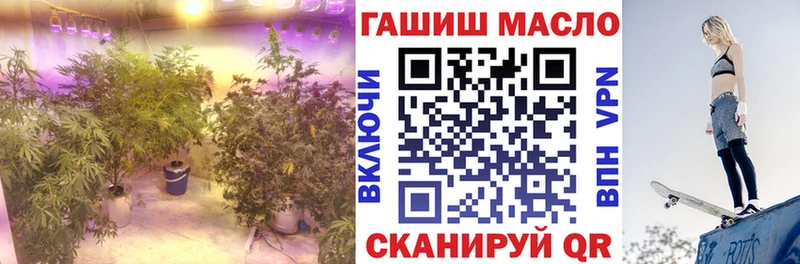 ТГК гашишное масло  дарнет шоп  Саров 