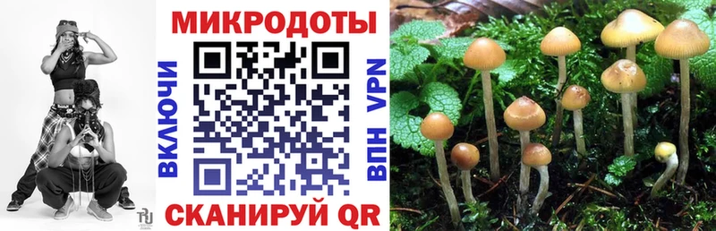 Псилоцибиновые грибы Psilocybine cubensis  цена наркотик  Саров 